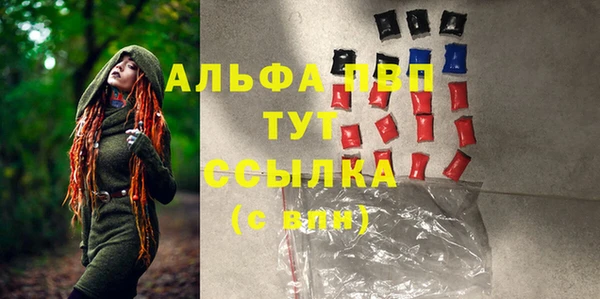 гашик Арсеньев