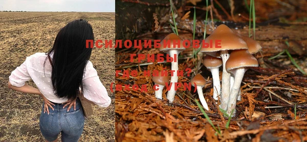 MESCALINE Баксан